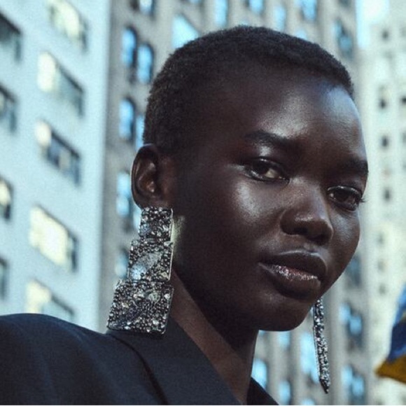 🌹NWT. Zara Long Metal Earrings with Mesh Details, Square Shapes and Rhinestones. - Picture 4 of 6